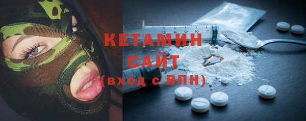индика Дмитриев