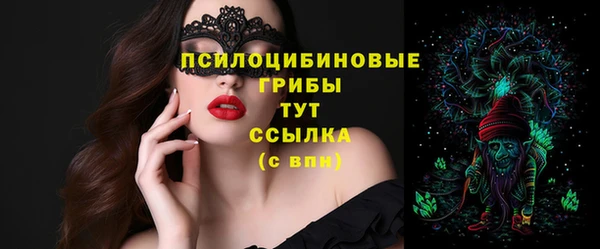 индика Дмитриев