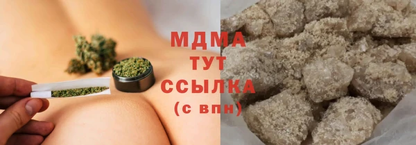 индика Дмитриев