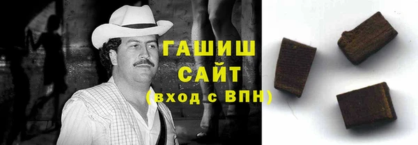индика Дмитриев