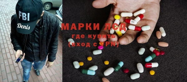 индика Дмитриев