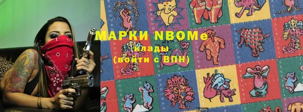 индика Дмитриев