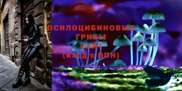 индика Дмитриев