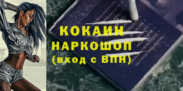индика Дмитриев