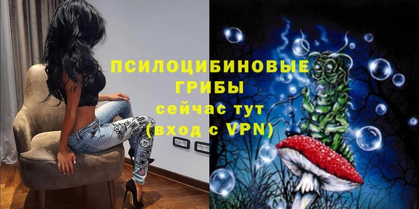 a pvp Дмитровск
