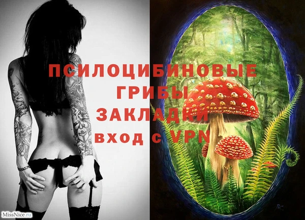 индика Дмитриев