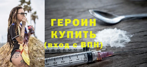 индика Дмитриев