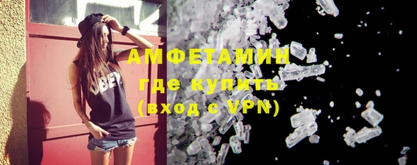 индика Дмитриев