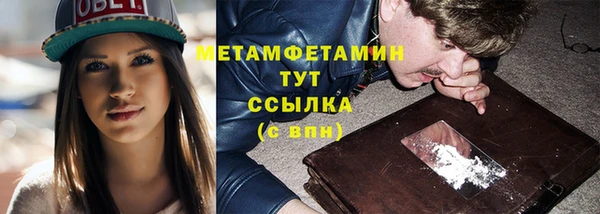 индика Дмитриев