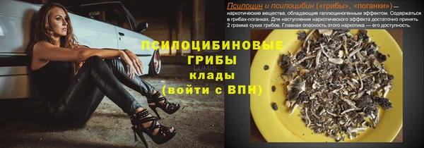 индика Дмитриев