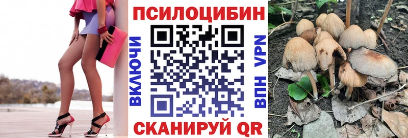 Псилоцибиновые грибы мицелий  Питкяранта 