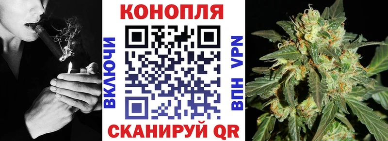 Каннабис план Питкяранта